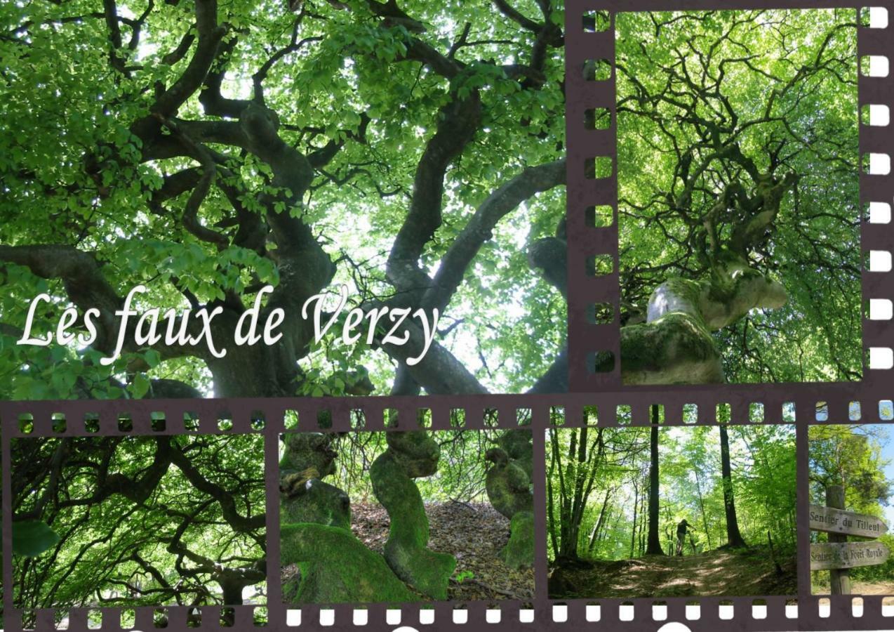 Bedinreims "Burgundy Bottle" 110M2 Exceptional, 4 Chambres Doubles, 2 Bain, Free Park & Wifi, Tout Equipe Eksteriør billede